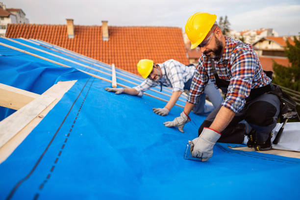 Best Storm Damage Roof Repair  in Moline, IL