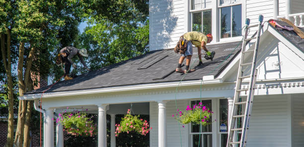 Professional Roofing Contractor in Moline, IL