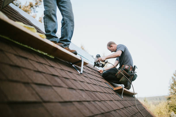 Best Roof Leak Repair  in Moline, IL