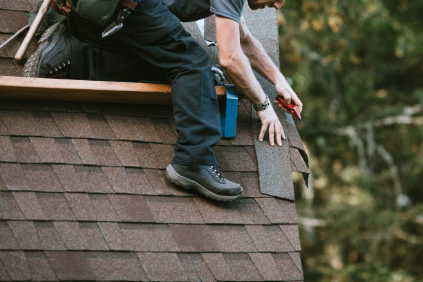 Best Roof Leak Repair  in Moline, IL