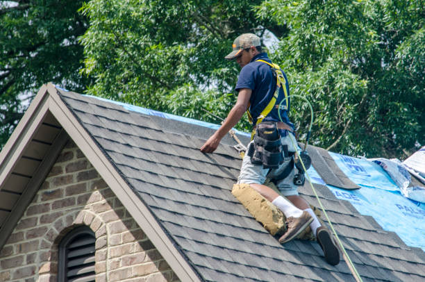 Best Residential Roofing Contractor  in Moline, IL