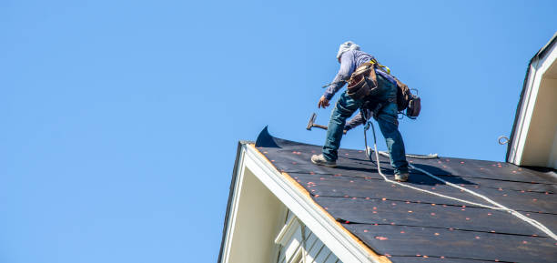 Best Shingle Roofing Installation  in Moline, IL